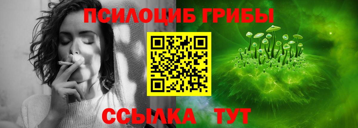 Мценск  Псилоцибиновые грибы мухоморы  Вход с VPN  Псилоцибиновые грибы Psilocybine cubensis 
